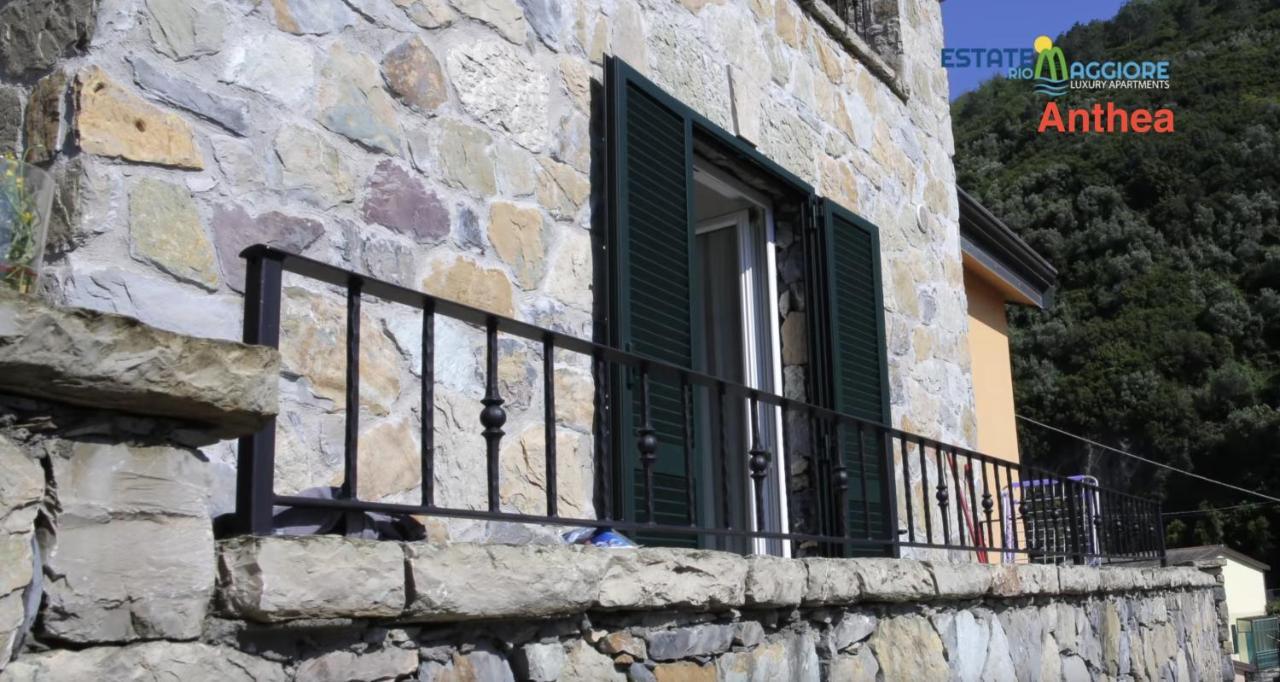 Estate Riomaggiore Διαμέρισμα Εξωτερικό φωτογραφία